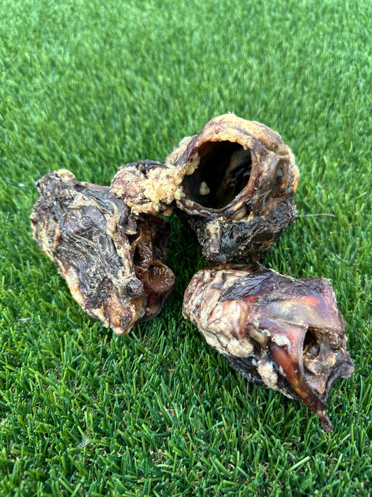 Bison Gullet